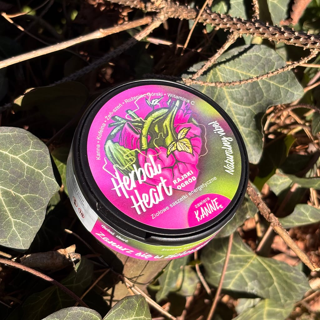 HerbalHeart snusy energetyczne z kanna sceletium tortuosum