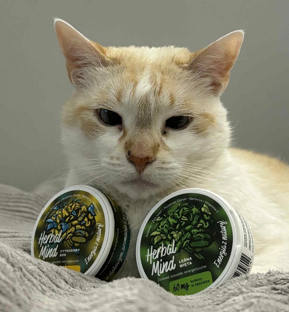 Saszetki kofeinowe 200mg, woreczki energetyczne 250 mg "kotek z puszkami HerbalMind"